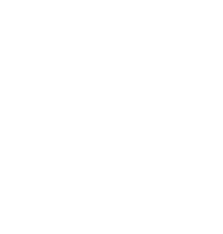 White star icon