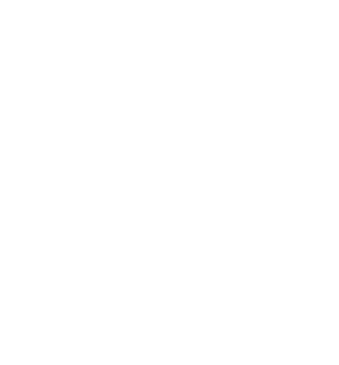 White calendar icon