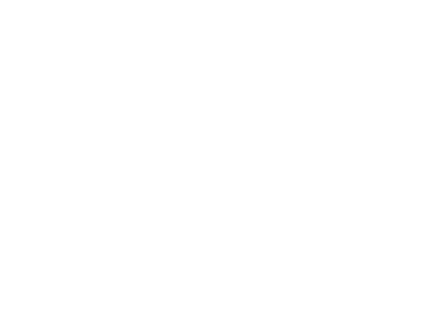 White airplane icon